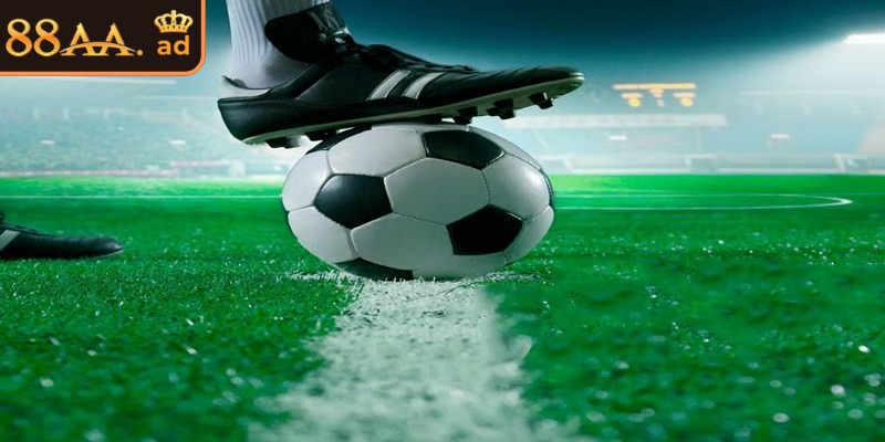 Kèo 1/2 giúp người chơi tương tác nhiều hơn với trận đấu